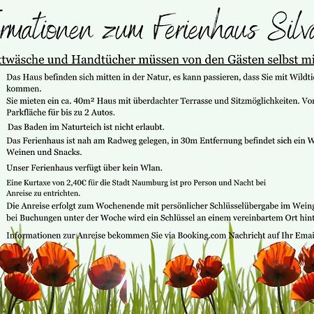 Ferienhaus Silvaner ناومبورغ المظهر الخارجي الصورة